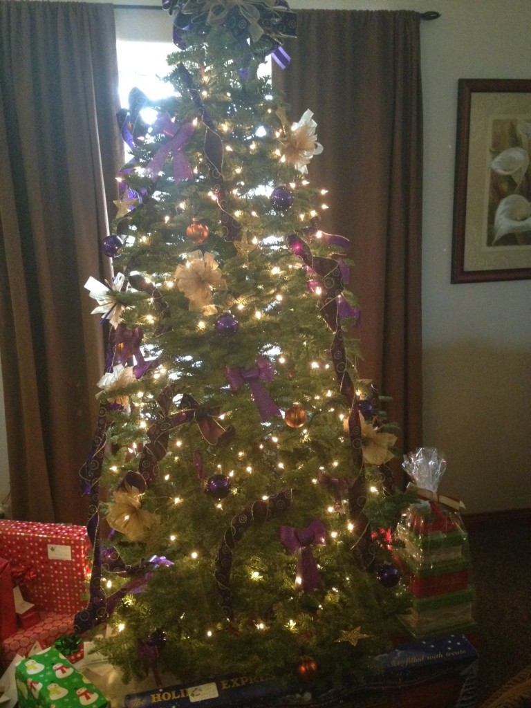 MVAC's Christmas Tree for Teen Boys OC Home